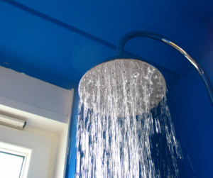 best showerhead